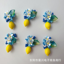 森系文艺范串珠捷克柠檬撞色小花耳饰发饰品配件鞋花帽花胸针装饰