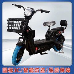 新国标金鹰电动车自行车摩托车汽车小型电瓶车厂家批发新款跨境