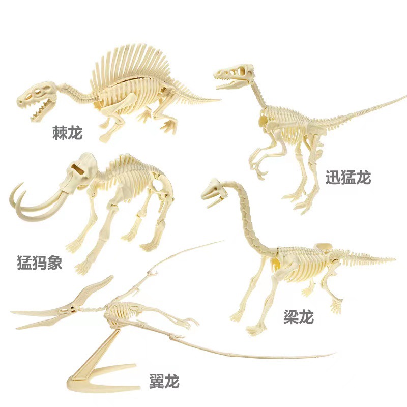 (10 Pieces) Dinosaur Fossil Skeleton Model Children's Handmade DIY for Boys and Girls Tyrannosaurus Rex Assembly Skeleton
