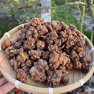 ����������^·�S �������� ��z�����^�{�Ӳ�500�˺�؛