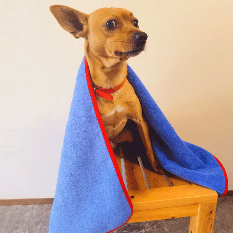 ���Ƴ���ë������è�乷���ٸ�˫��ɺ����ϴ��ë��������ˮ����