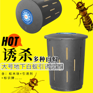�����l����ρ���T�д�̖�����Ͱ�ρ�T���а�ρ���T�b�� ֱ��