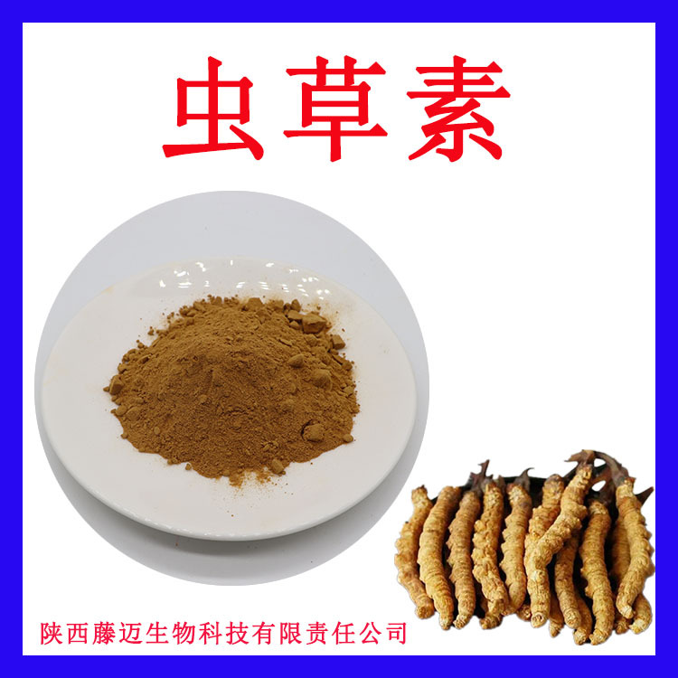 虫草素3%无中间商蛹虫草素现货有质检蛹虫草提取物