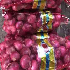 蒜;洋葱;其他滋补