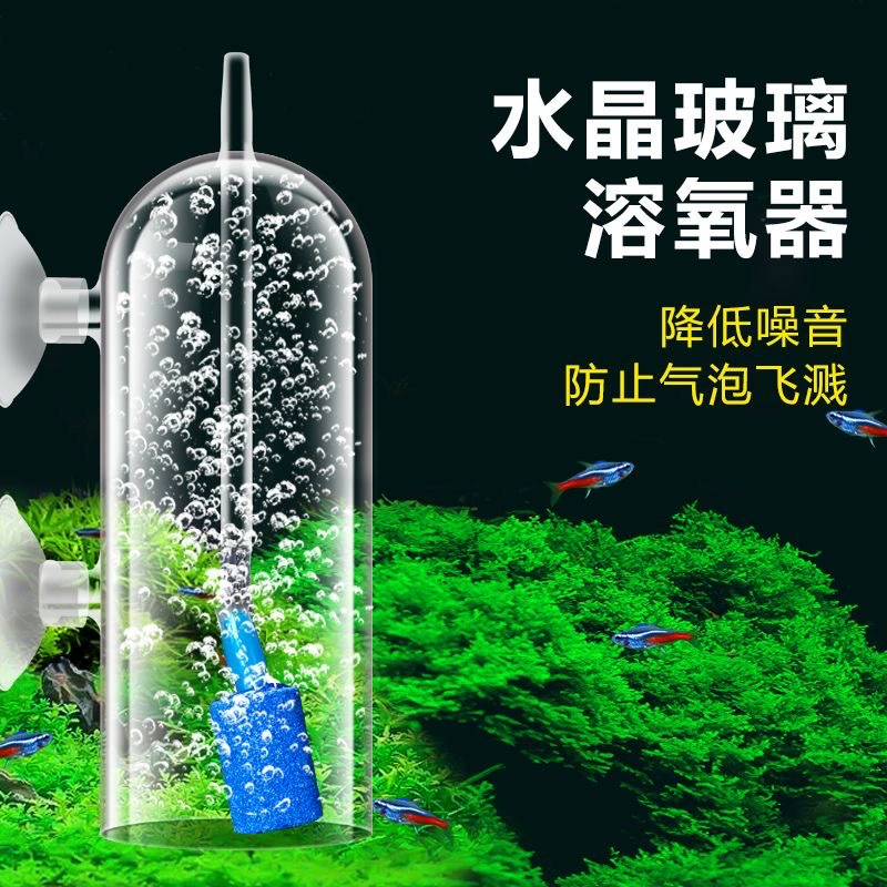 Стеклянный растворитель кислорода в аквариуме с упаковкой с присоской