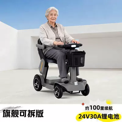 Qatlanan elektrik velosipedlər | People and Home Use - flagship-detachable-battery-30a-lithium-battery-100-mile-range-gray