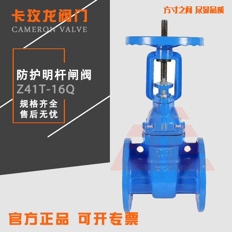 防护闸阀Z41T-16明杆闸阀人防闸阀铜杆铜芯管道法兰连接闸阀DN100