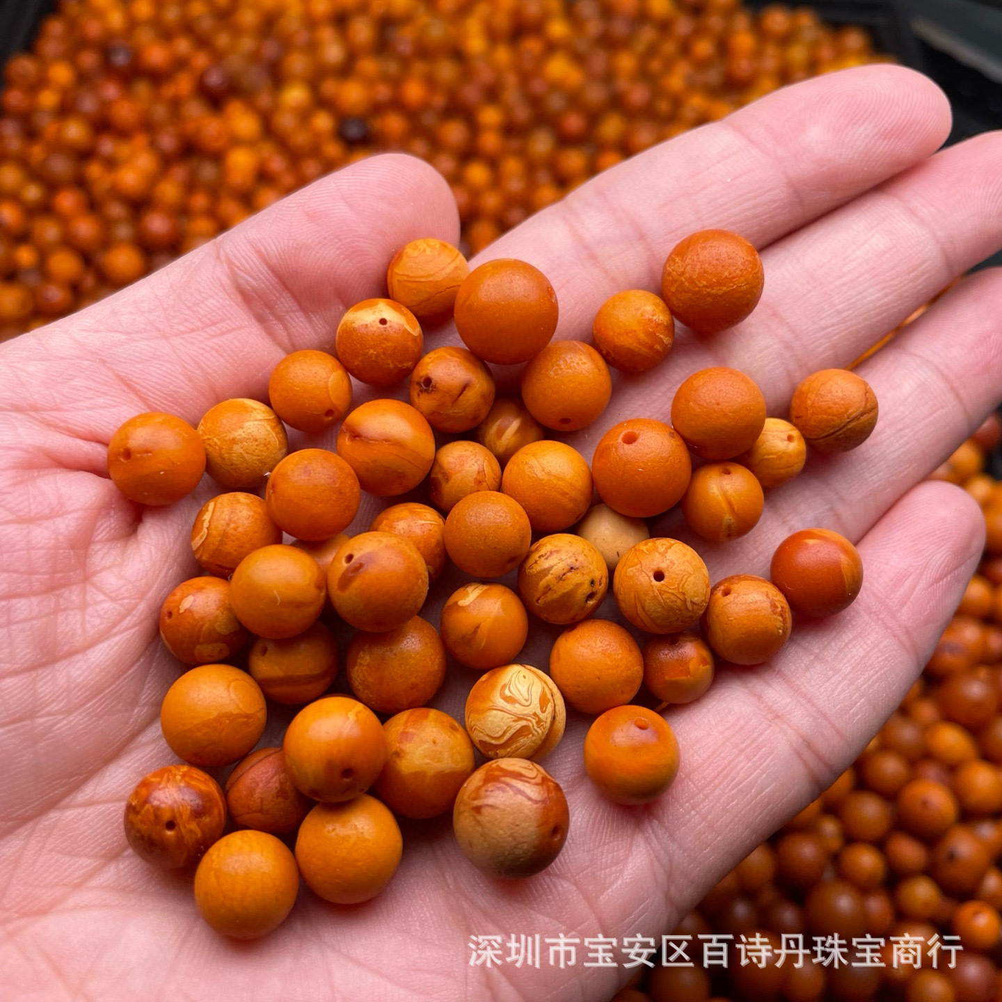 2025_03_09_20_06_IMG_0839