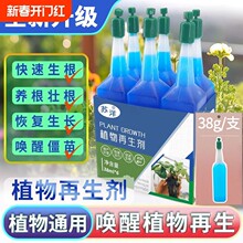 ֲ���������K��I�BҺ�Gֲ�������Լ�ͥ�@ˇˮ���ͷ��ϸ�Ч��s