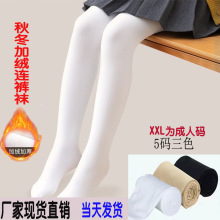 儿童舞蹈袜秋冬加绒加裆连裤袜成人女童练功厚款细绒白色裤袜批发