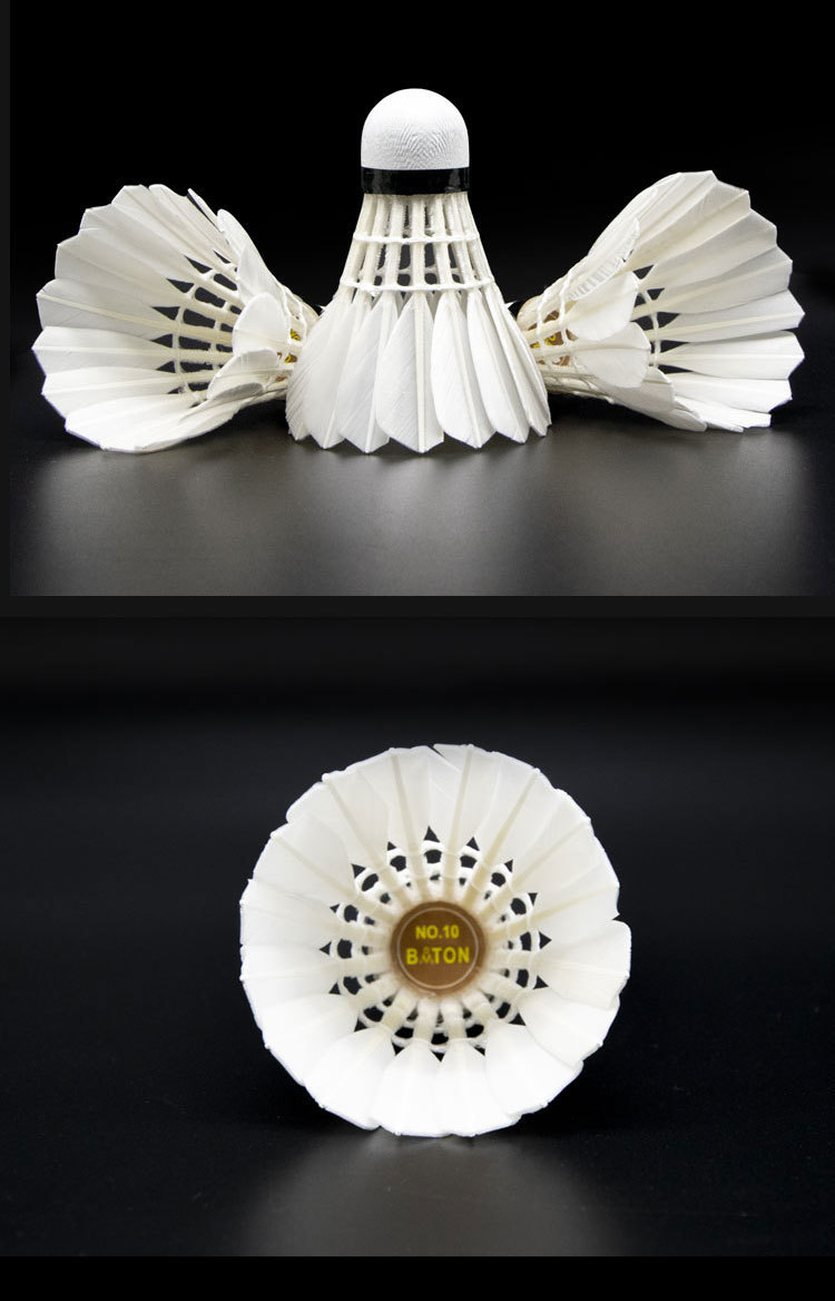 18104829-7108-42c2-ba44-43b9867a4a01.jpe