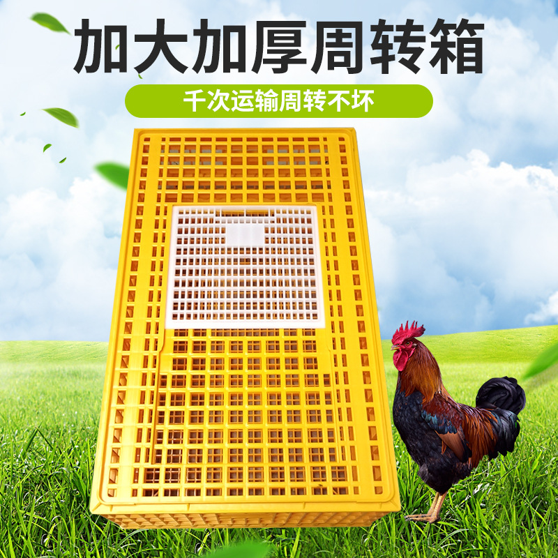 跨境塑料运输笼出口外贸款一米长鸡框周转箱养殖蛋鸡笼家禽加重鸭