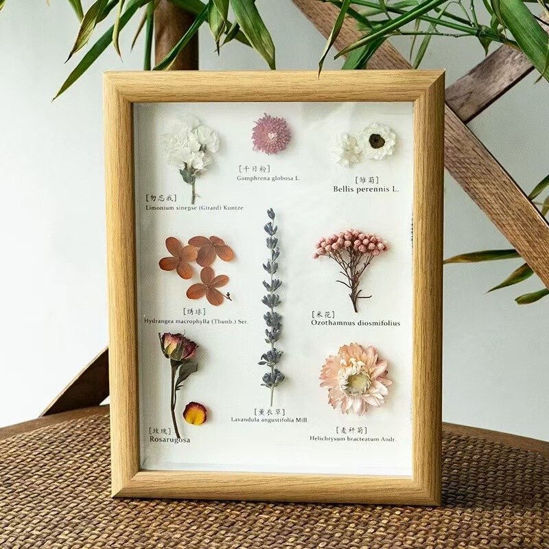Preserved Flowers, Dried Flower Plant Seeds, Flower Specimens, Picture Frames, Table Decorations, Home Decor, Children's Day, Qixi Festival Activities