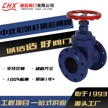 铸铁中部丝扣闸阀Z45T/W-10/16单流向铜芯暗杆硬密封闸阀厂家定制