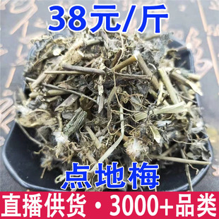 �c��÷ �퇵�� �~�X�� �׻������ ���ǲ����l���l