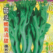 ϲ߲˷Nmˬͽ̦(F1)@¶̨500