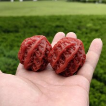 ֱ��؛Դ������P�����J�����֬������Ҫ{���^�ְѼ��S�����l