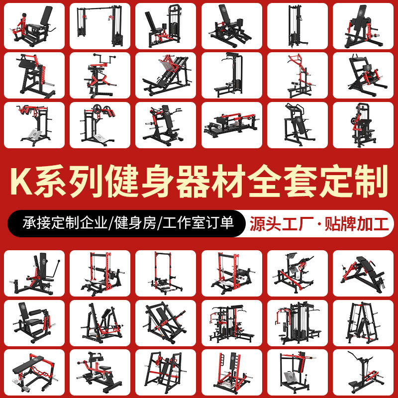 Regis Gym Equipment Fitness Equipment Collection Squat High Pull-Down Fly Bird Insert Trainer Custom-Made