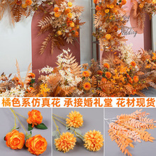��ɫ����õ�彑��ĵ�����F�����m�ѻ���ɫ��Y�ñ�����c�����b�