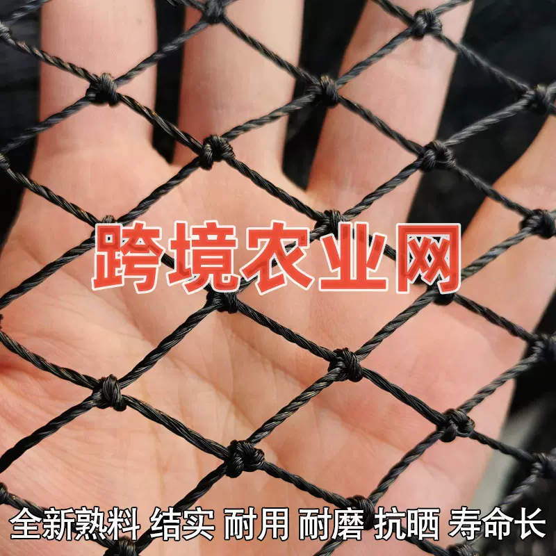 出口尼龙网捕鱼网农用网养殖网球场网黑色爬藤网渔网养鸡网体育网
