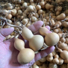 С���J��Ȼ���J������������[������S�ҵؔ�С����Ҿӿ��ñ���