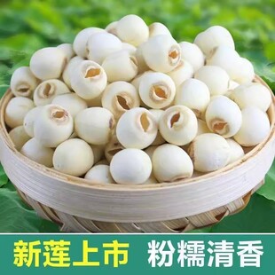 ����ɏ�������خa��̶��ɏ�Ӹ�؛ȥоɏ�� 500g�oоȡоĥƤ��ɏ