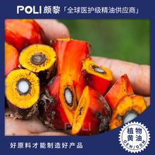 巴西进口棕榈脂植物油颇黎进口棕榈脂精油 批发基础油护肤原料