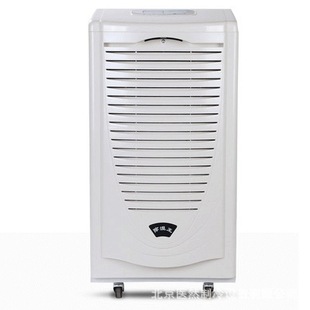 Industrial Grade Dehumidifier Basement Power Distribution Room Dehumidifier Villa Workshop Warehouse Factory Dryer Commercial