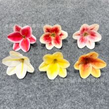 14cm胶片兰花3D打印高度仿真花婚庆场景布置民族头饰制作花环插花