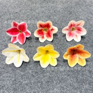 14cm�zƬ�m��3D��ӡ�߶ȷ��滨��c�������������^��������h�廨