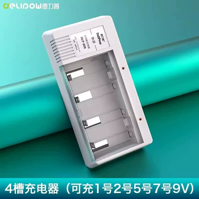 No.1 rechargeable battery large Hibrid akkumulyator batareyaları - 808-standard-charger-can-charge-no-1-no-2-no-5-no-7-batteries