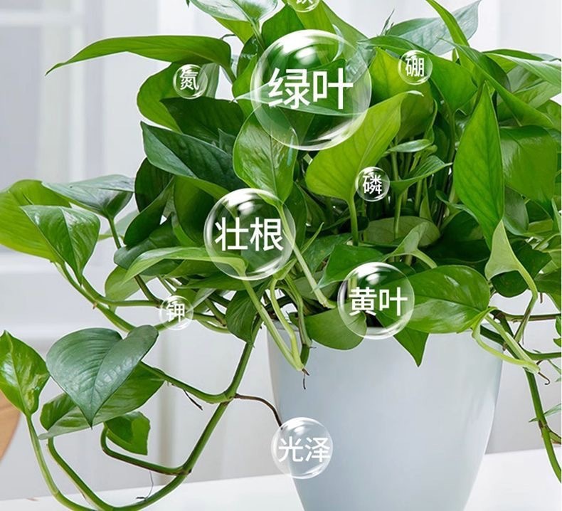 6f6d1ee6-6c4d-4af3-864b-a0deca3deb7d.jpe