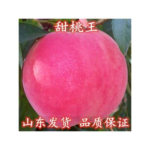 �����ش��� �ձ������� �Ҙ���޽��� ʢ��������������ֱ�N