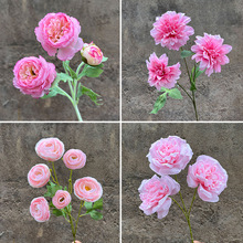 ۼtɫ滨cY÷ۼtɫϵ·廨bٽlS