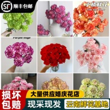 ����ܰ�r����ϻ���ֱ�l�r�л��滨�ɻ�ĸ�H���̎�����������