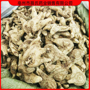 �a��؛Դ ���l������ܸ ��ܸ�� ��ܸƬ �׼� ������ș�Ĺ���