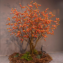 ��Ʒ���Ә��S��bU������ʽ��ؕ����ٹ��������쾰�҃���