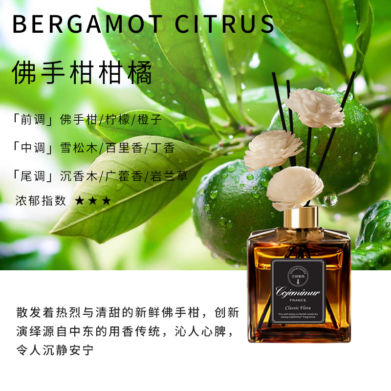 베르가못 시트러스-추천
