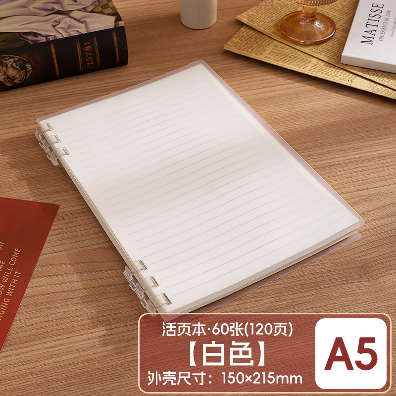 Este cuaderno de hojas sueltas B5 se puede desmontar para reemplazar el núcleo, la portada de las hojas sueltas PP respetuosas con el medio ambiente no presiona el libro de bobinas engrosadas a Mano.