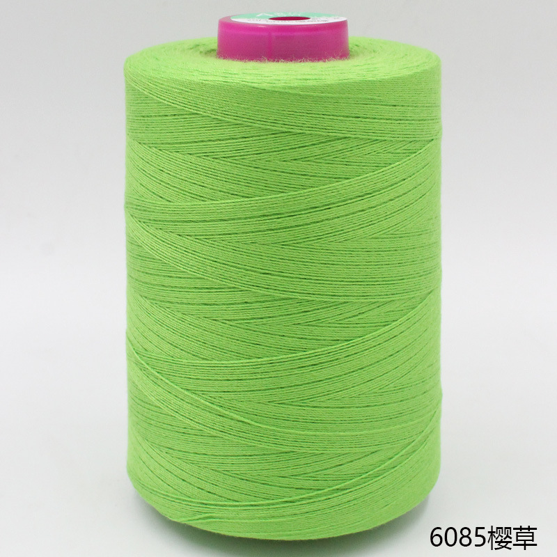 203 프림로즈 6085