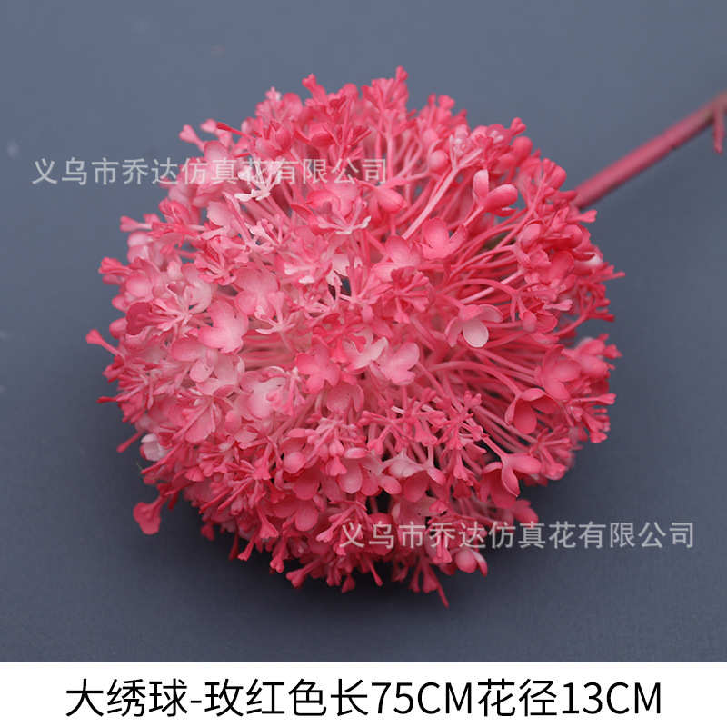 큰 공 (단일 민들레)