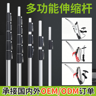 ��֦����֦������֦����䏸ߘ������s�߿��֦�