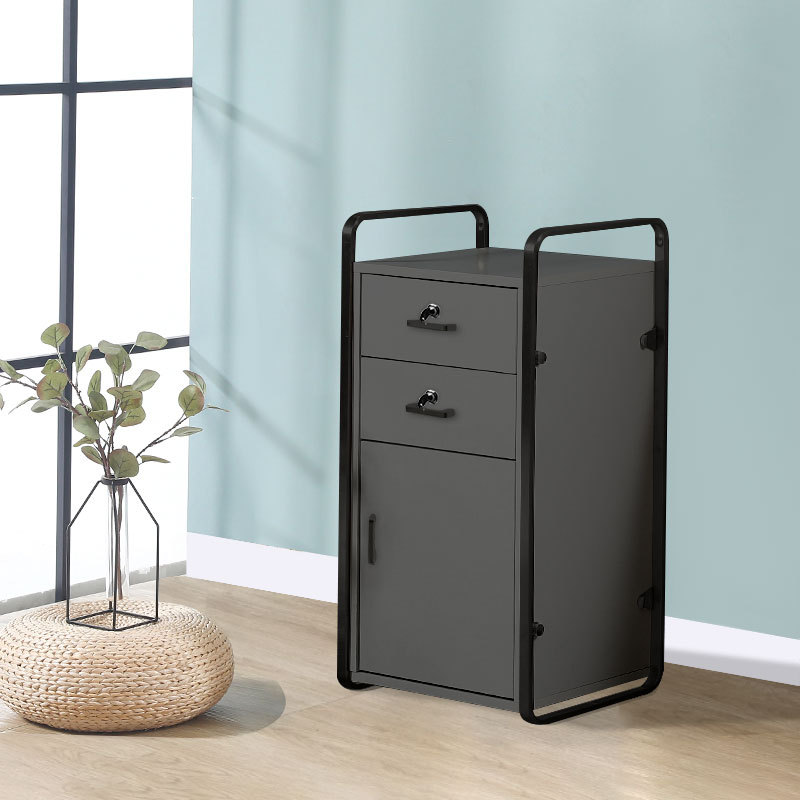 2024 새로운 스타일 블랙 프레임 다크 그레이 캐비닛