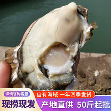 Դ�a��������l����50�����rĵϠ��Ϡ�Ӳ�Ƶ���������r������