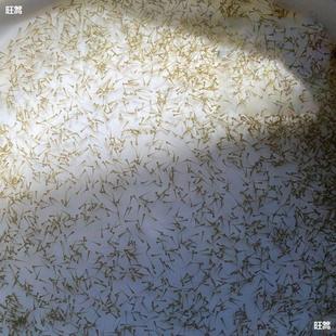 ˮ���~�����l�a�~�~���~���^�����������~���~����~�N���~