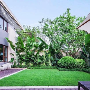 ��ƺ�ѲݷN�����ļ��������޼��o�¹����G������é�����ݷN