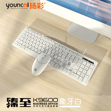 USB有线键盘鼠标套装台式笔记本商务办公家用一体机游戏键鼠 批发