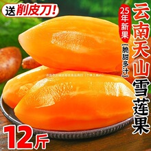 ��ɽѩɏ��12�����rˮ������������ЋD�t��ѩ�B���S����������]