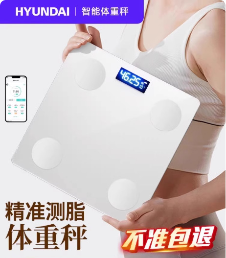 현대 C70 전자저울(A화이트)