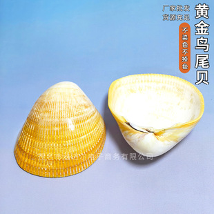 ��Ȼ����ؐ���S���Bβؐ����[���b��~���쾰�ҾӘ˱��ղ�